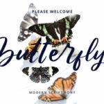 Butterfly Font Poster 1