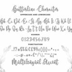 Butterline Font Poster 5
