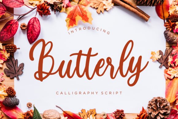 Butterly Font Poster 1