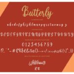 Butterly Font Poster 7