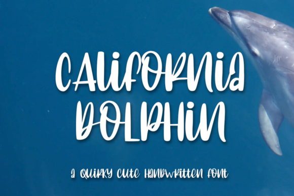 California Dolphin Font Poster 1