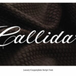 Callidar Font Poster 2