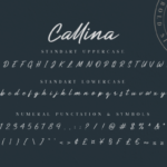 Callina Font Poster 6
