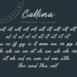 Callina Font Poster 7