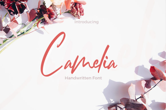 Camelia Font