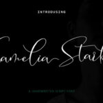Camelia Stark Font Poster 1