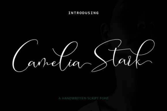 Camelia Stark Font Poster 1