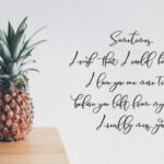 Camelia Stark Font Poster 5