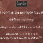 Capella Font Poster 9