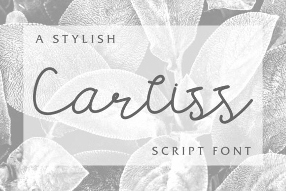 Carllis Font Poster 1