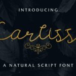 Carllis Font Poster 2