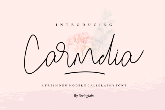 Carmelia Font