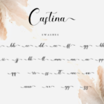 Castina Font Poster 11