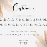 Castina Font Poster 10
