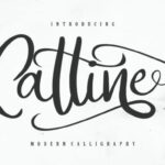 Catline Font Poster 1