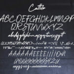 Cattilo Font Poster 10