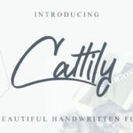 Cattily Font Poster 1