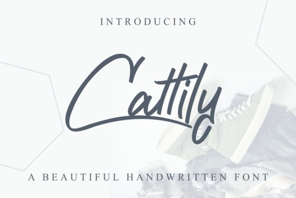 Cattily Font Poster 1