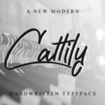 Cattily Font Poster 2