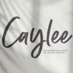 Caylee Script Font Poster 1