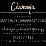 Chameeta Font Poster 5