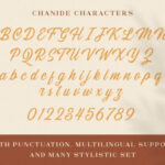Chanide Font Poster 14