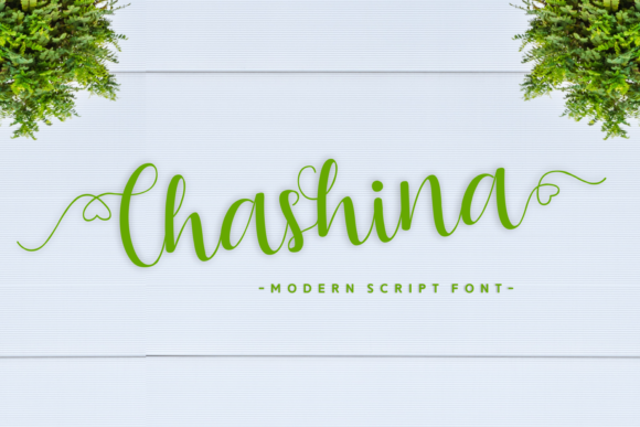 Chashina Font