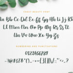 Chasy Font Poster 9