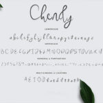 Chendy Font Poster 6