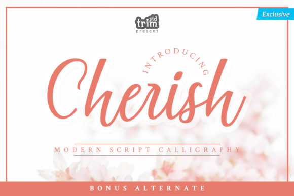 Cherish Font Poster 1