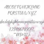 Cherish Font Poster 7