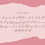 Cherolina Font Poster 12