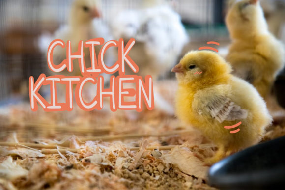 Chick Kitchen Font Poster 1