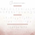 Choerunnisa Font Poster 4