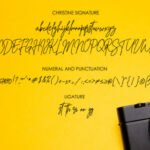 Christine Signature Font Poster 5