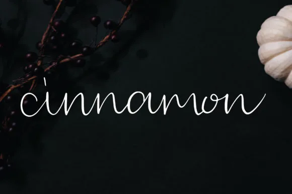 Cinnamon Font Cinnamon Font Poster 1