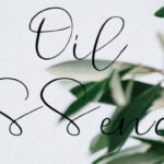 Cinnamon Font Poster 3