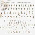 Cinnamon Cookie Font Poster 7