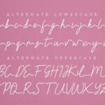 Claressa Font Poster 12