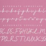 Claressa Font Poster 12