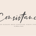 Consistance Font Poster 1