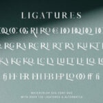 Coral Lovers Duo Font Poster 20