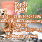 Corgy Puppy Font Poster 6