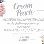 Cream Peach Font Poster 5