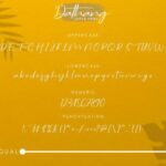 Dathang Font Poster 7