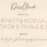 Deellma Font Poster 7