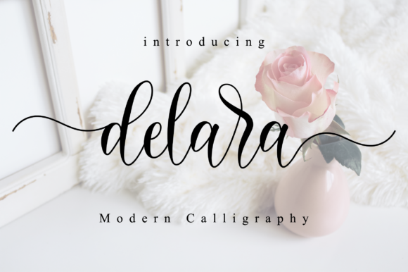 Delara Font Poster 1