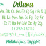 Dellana Font Poster 3