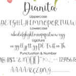 Dianita Font Poster 9