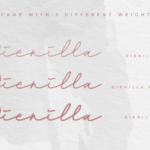 Dienilla Font Poster 14